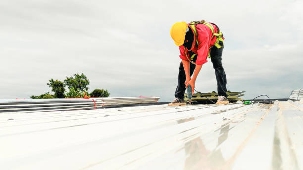 Best Metal Roofing Installation  in Caoncito, NM